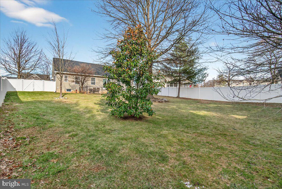 6303 Edgeware Court Frederick, MD 21703 - Photo 70 of 74 a view of a big yard with palm trees