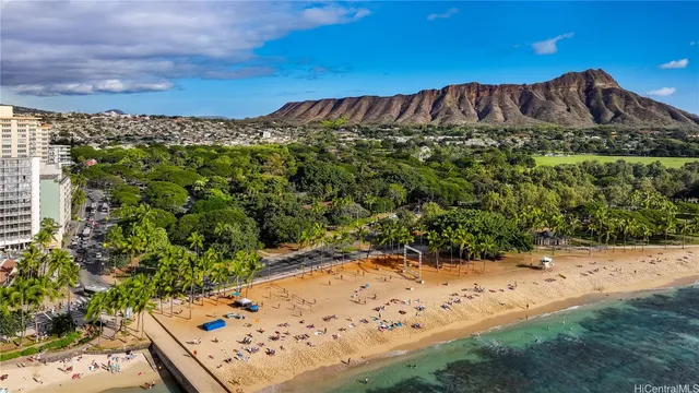 a view of a backyard with plants