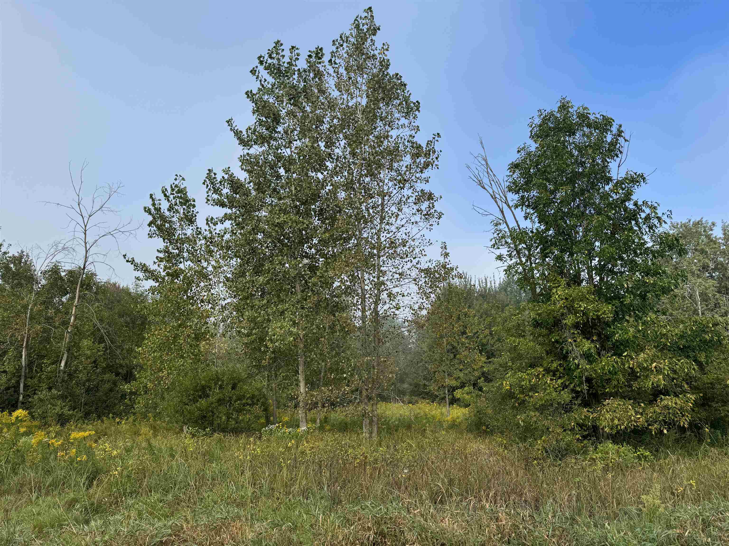 Tbd South Leaton Road Shepherd, MI 48883 - Photo 3 of 5