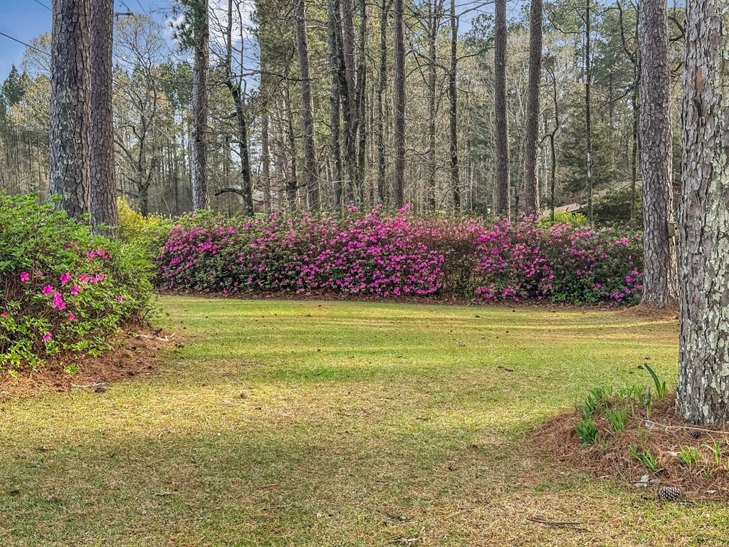 4107 Magnolia Pisgah Road Summit, MS 39666 - Photo 21 of 43 Photo 21