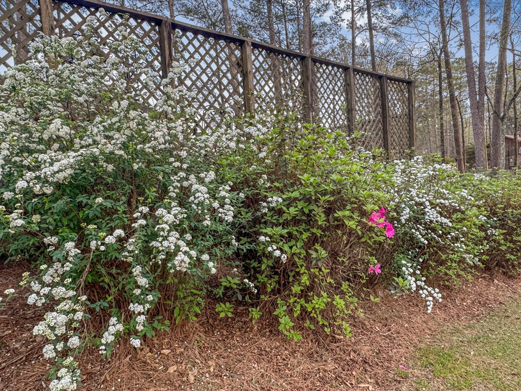 4107 Magnolia Pisgah Road Summit, MS 39666 - Photo 27 of 43 Photo 27