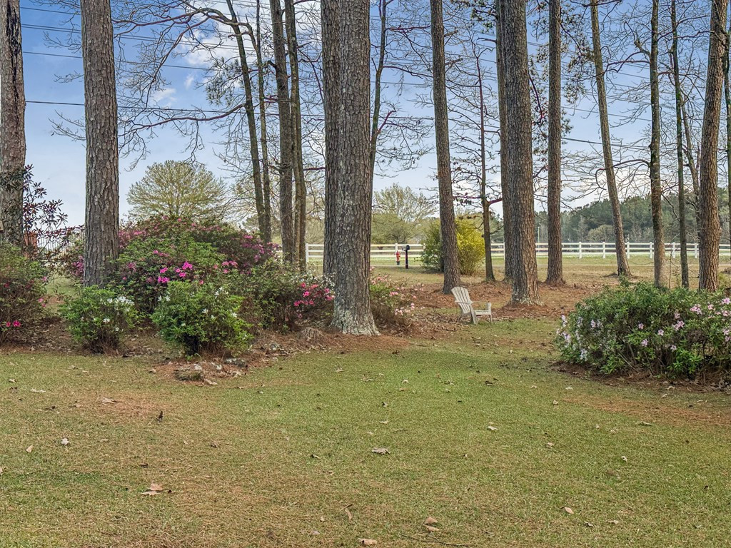 4107 Magnolia Pisgah Road Summit, MS 39666 - Photo 28 of 43 Photo 28