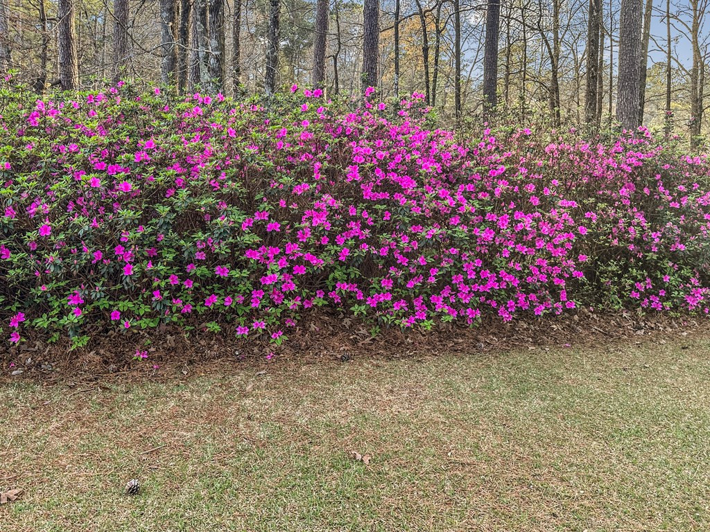 4107 Magnolia Pisgah Road Summit, MS 39666 - Photo 34 of 43 Photo 35