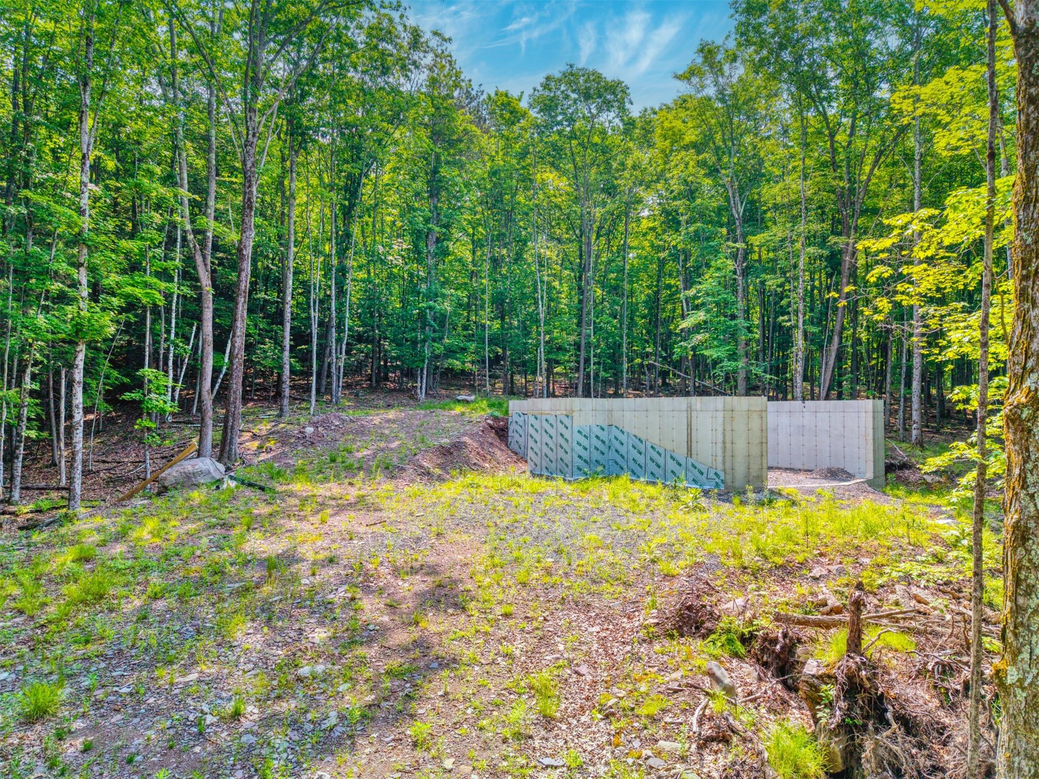 Tbd Boulder Brook Road Windham, NY 12496 - Photo 3 of 37 View of yard