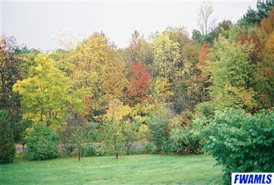 18317 Scipio Road Spencerville, IN 46788 - Photo 8 of 9