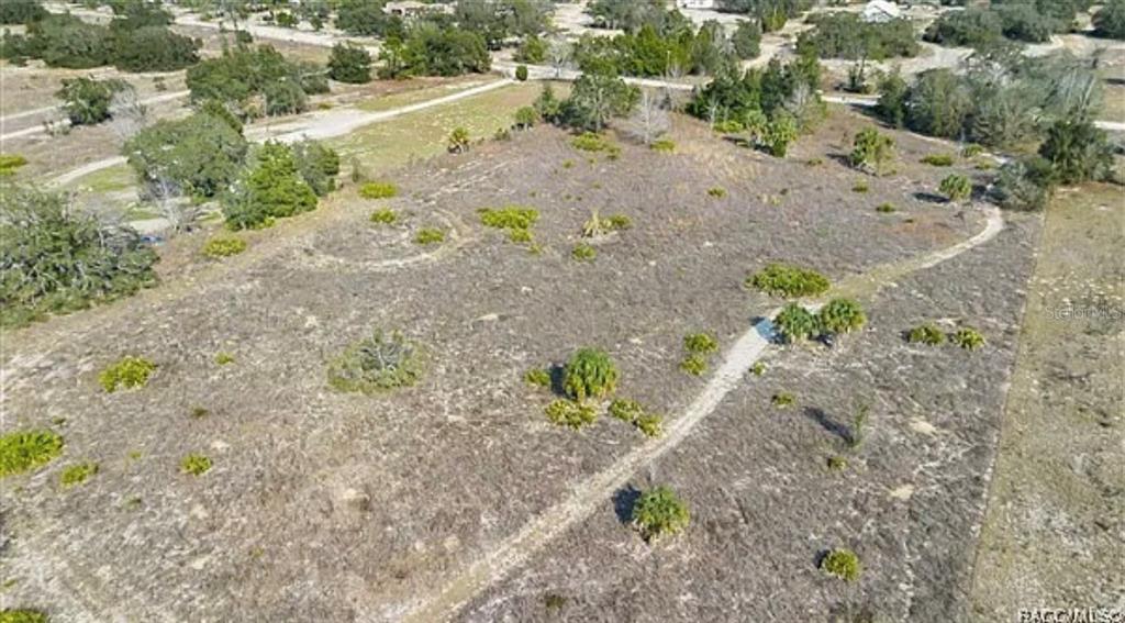 6292 South Georgian Road Homosassa, FL 34446 - Photo 4 of 7