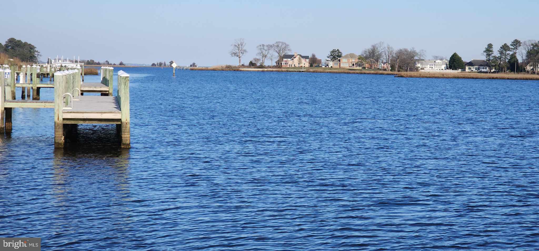 31250 Anchor Watch Loop, Unit 58 Dagsboro, DE 19939 - Photo 11 of 17