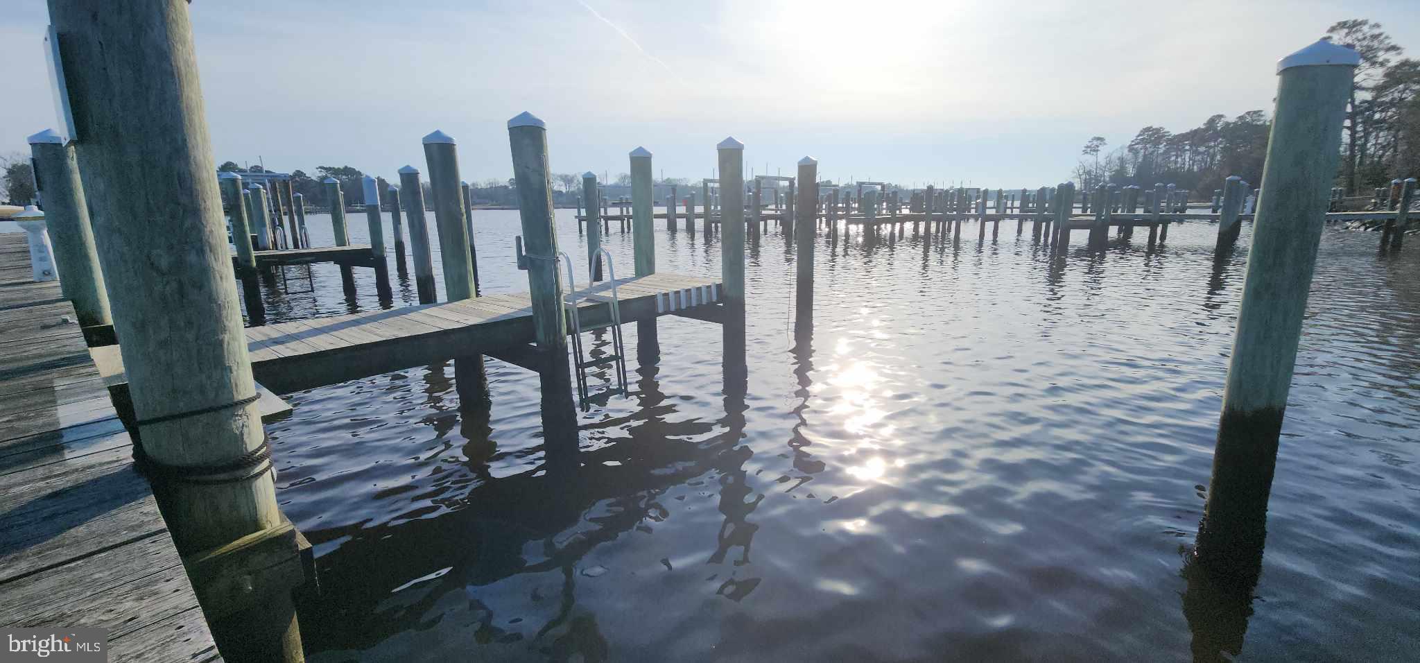 31250 Anchor Watch Loop, Unit 58 Dagsboro, DE 19939 - Photo 14 of 17