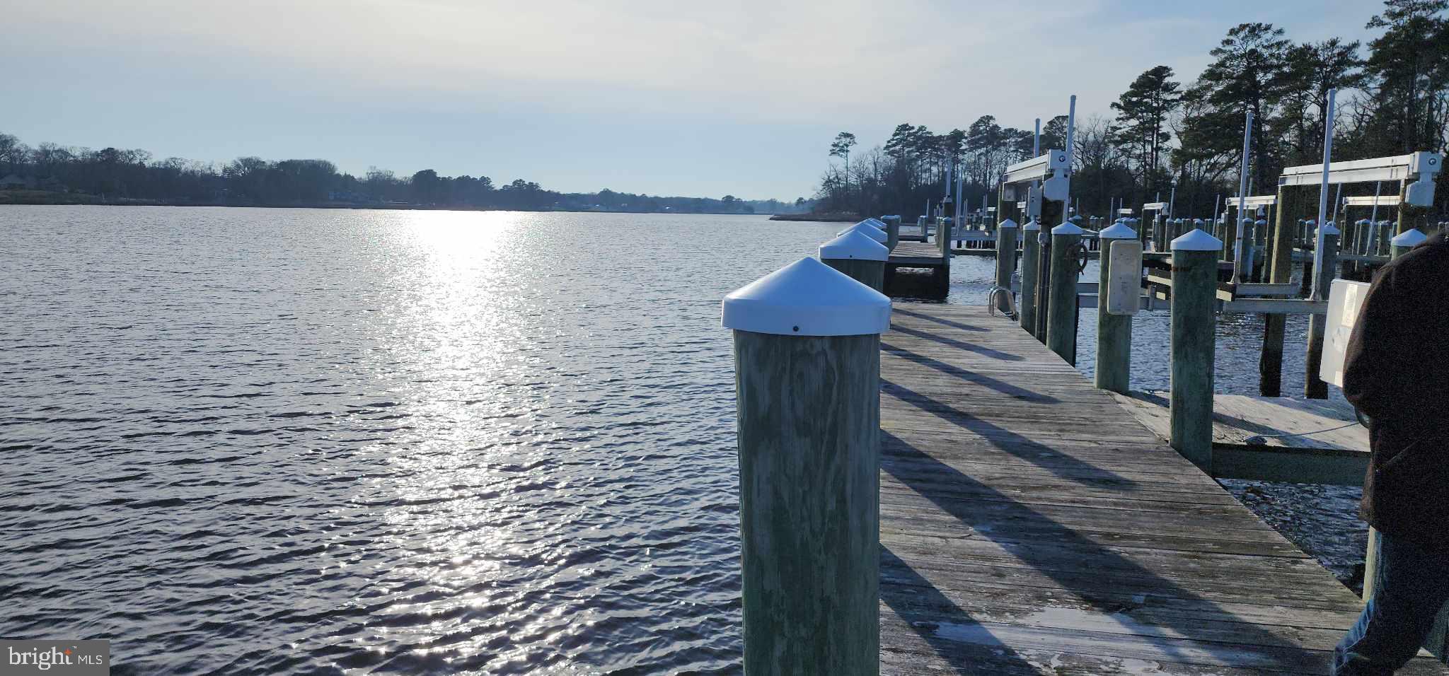 31250 Anchor Watch Loop, Unit 58 Dagsboro, DE 19939 - Photo 9 of 17