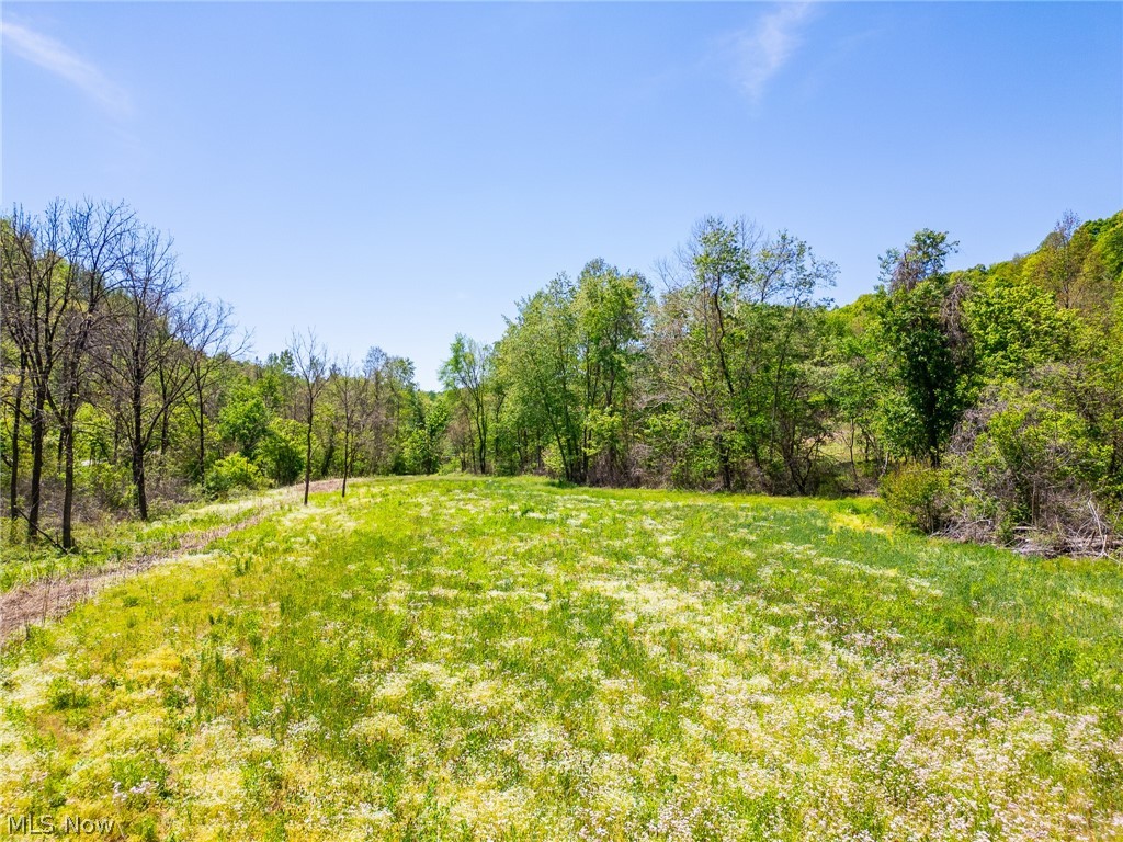 37500 Goose Run Road Dexter City, OH 45727 - Photo 2 of 50