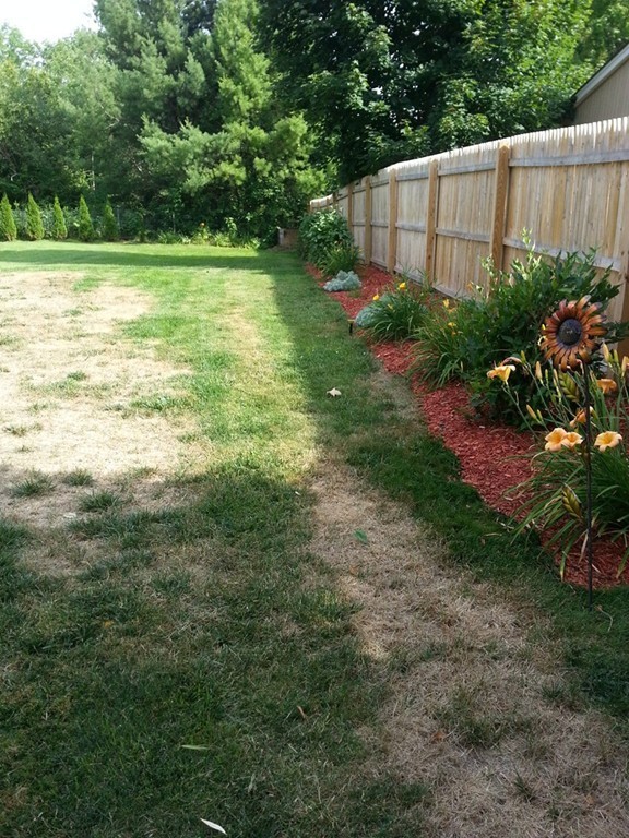 7 Doane Road Ware, MA 01082 - Photo 19 of 19 a view of a backyard