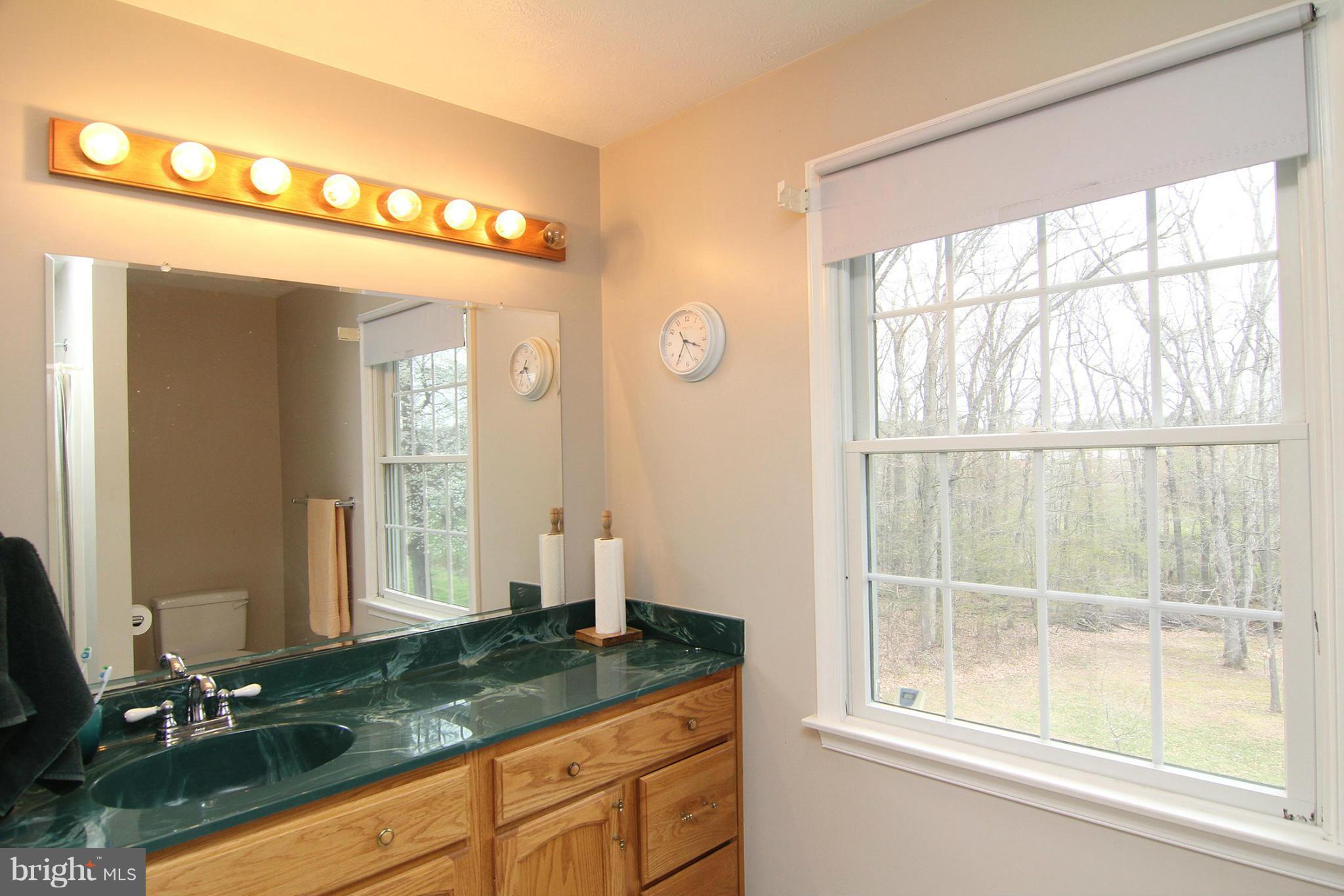 4616 Skidmore Road Westminster, MD 21157 - Photo 18 of 27 Bath (Master)