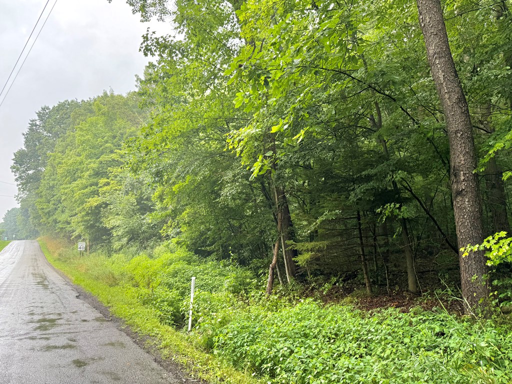 0 Deckards Run Road Utica, PA 16362 - Photo 2 of 9