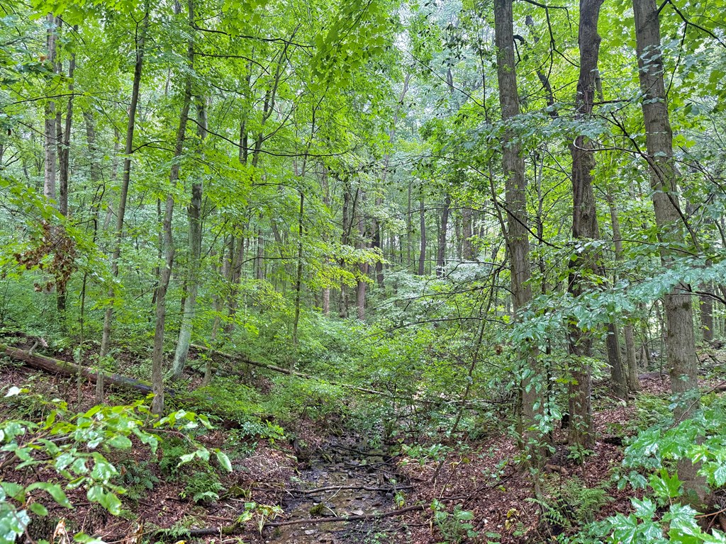 0 Deckards Run Road Utica, PA 16362 - Photo 7 of 9