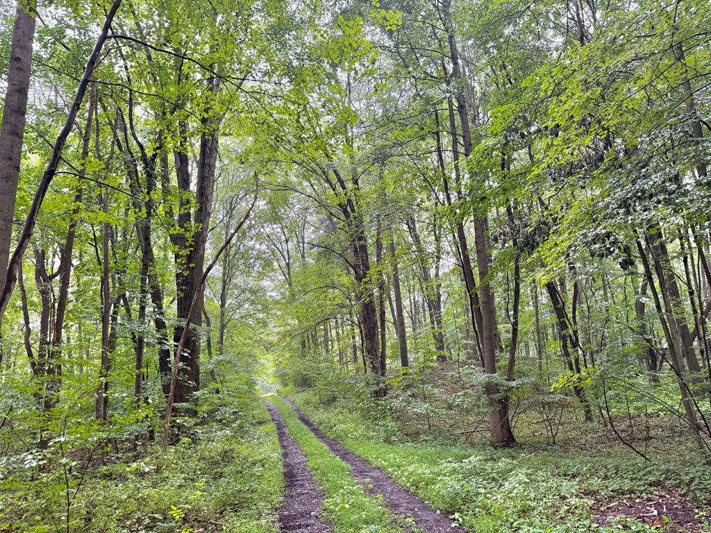 0 Deckards Run Road Utica, PA 16362 - Photo 8 of 9