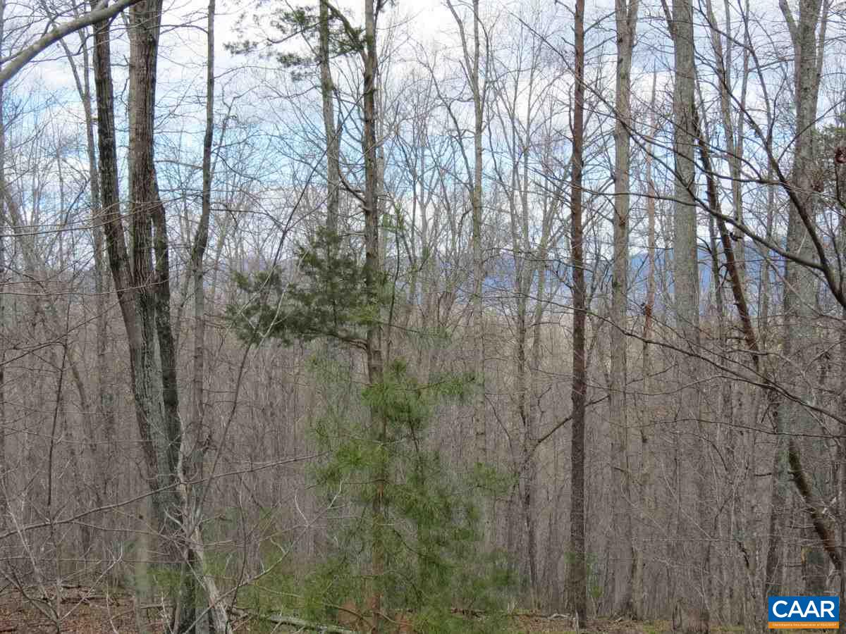 B2 Thunder Ridge Road Charlottesville, VA 22903 - Photo 3 of 14 a view of forest
