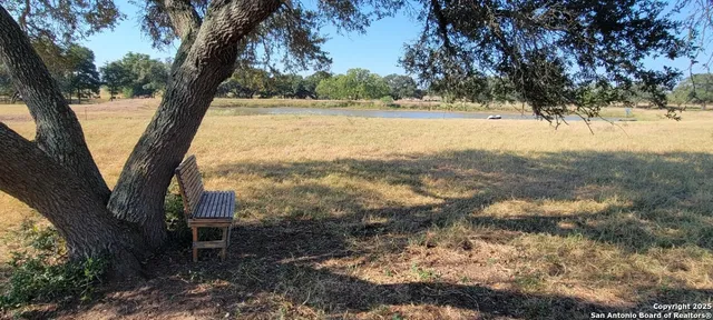 a view of a yard with a tree