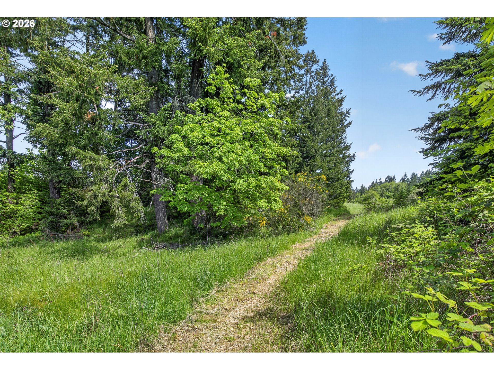 5714 Crooked Finger Road Northeast Scotts Mills, OR 97375 - Photo 42 of 47