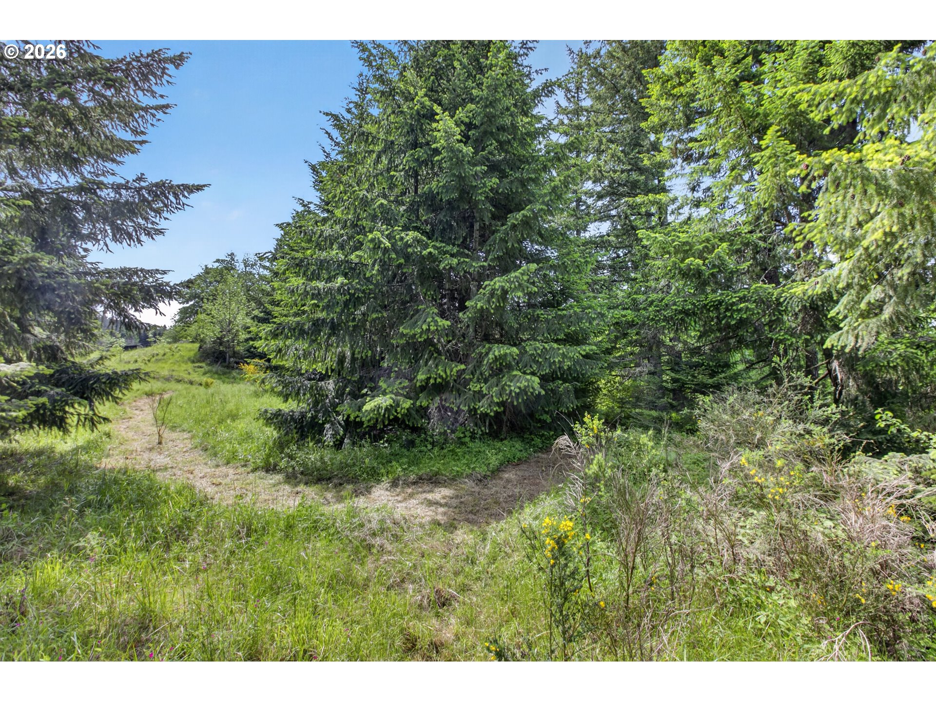 5714 Crooked Finger Road Northeast Scotts Mills, OR 97375 - Photo 44 of 47