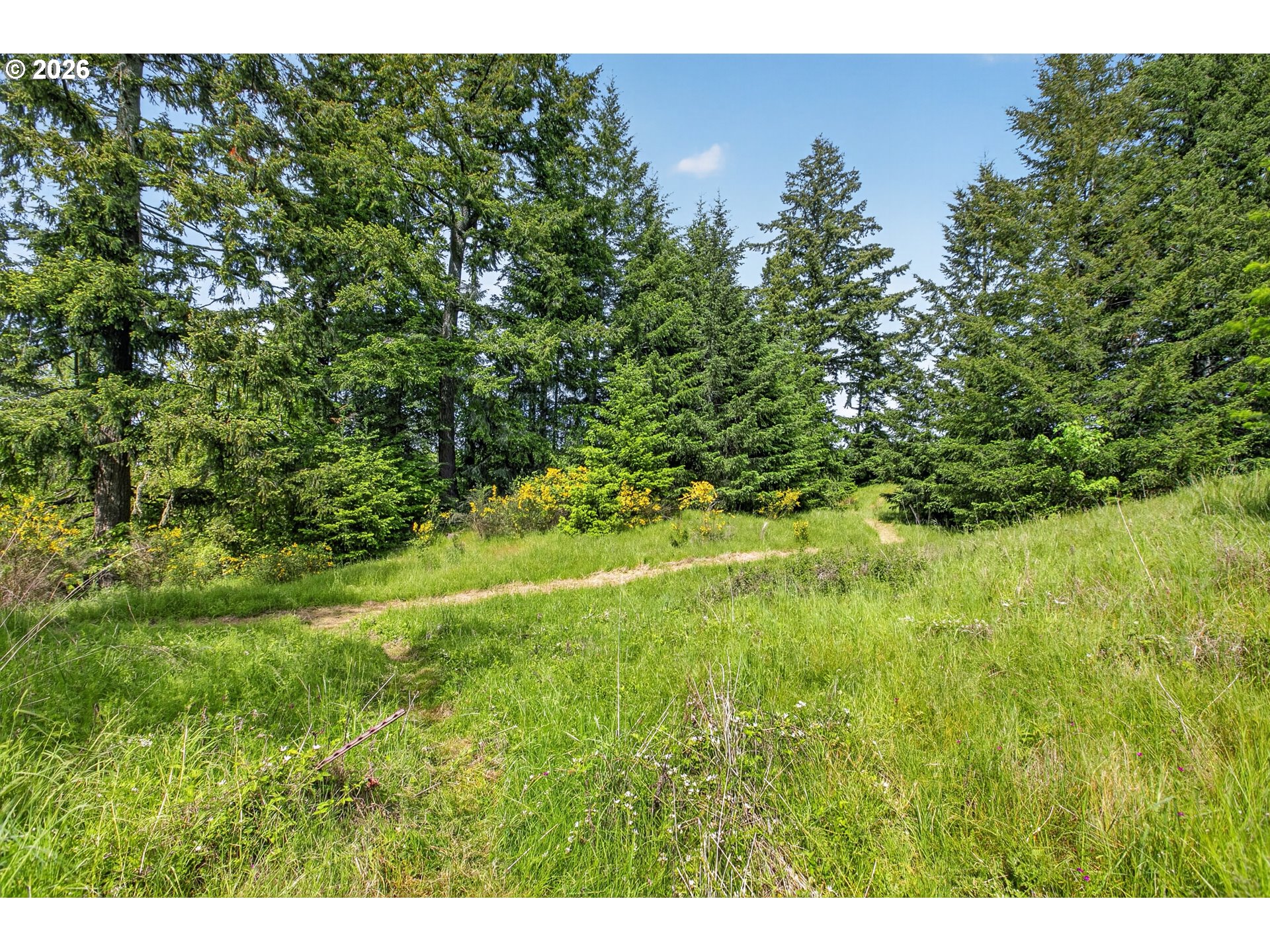 5714 Crooked Finger Road Northeast Scotts Mills, OR 97375 - Photo 46 of 47