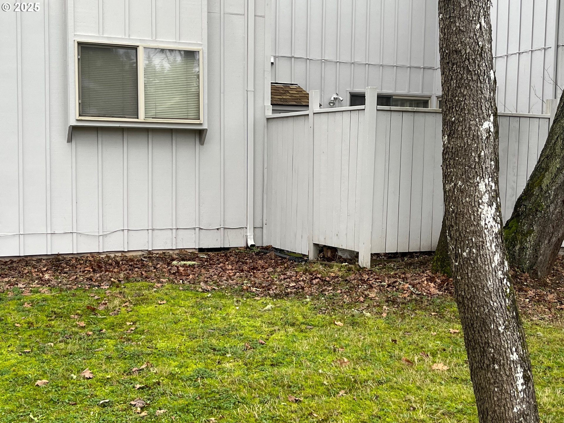 2239 Hawkins Lane Eugene, OR 97405 - Photo 3 of 12