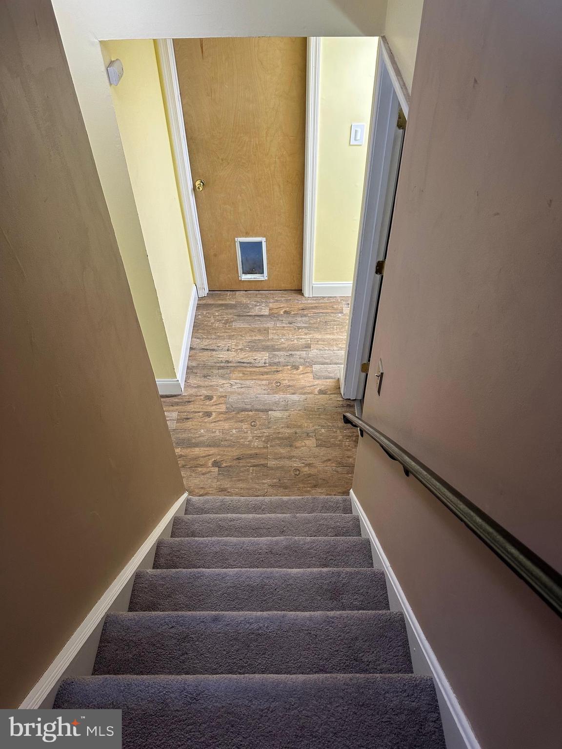 101 Michael Street Buena, NJ 08310 - Photo 13 of 28 a view of entryway