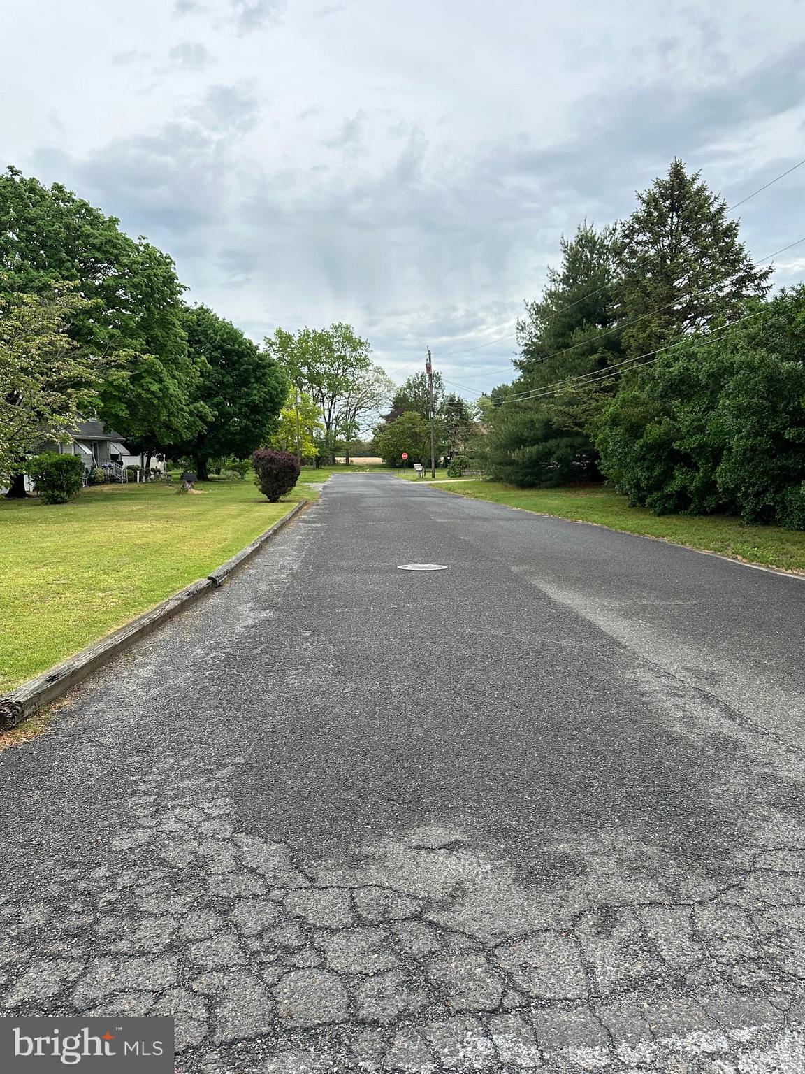 101 Michael Street Buena, NJ 08310 - Photo 26 of 28 a view of a field with a yard