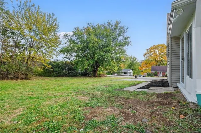 a view of a yard with plants and trees