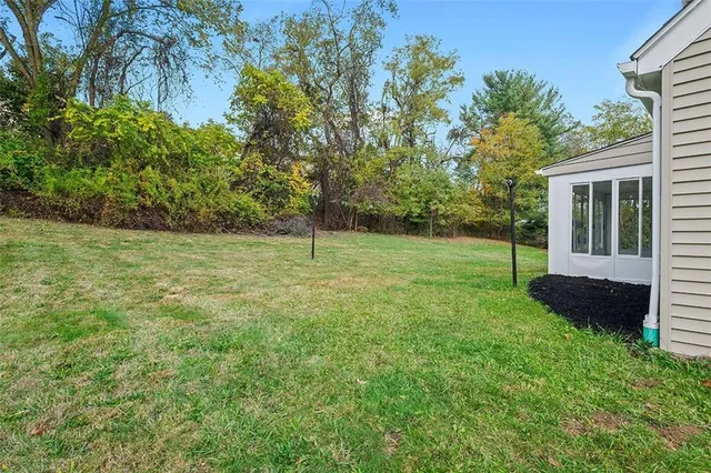 a view of a garden with a tree