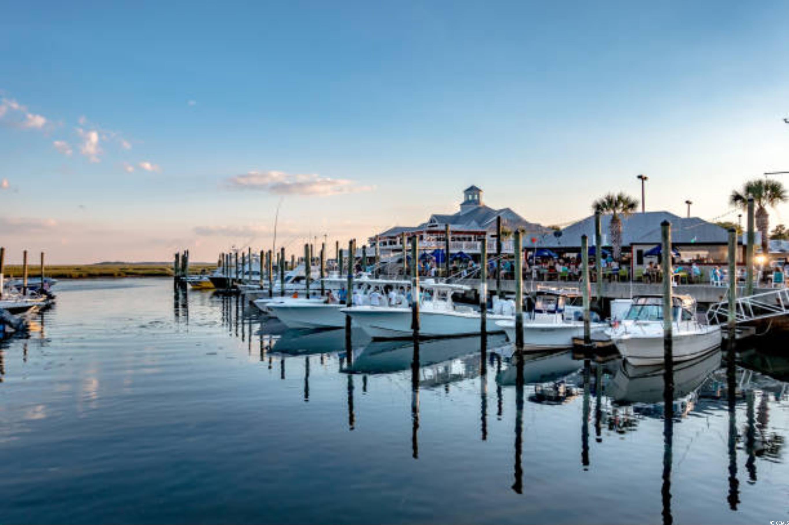 313 Goddard Lane Murrells Inlet, SC 29576 - Photo 6 of 7 Dock featuring a water view