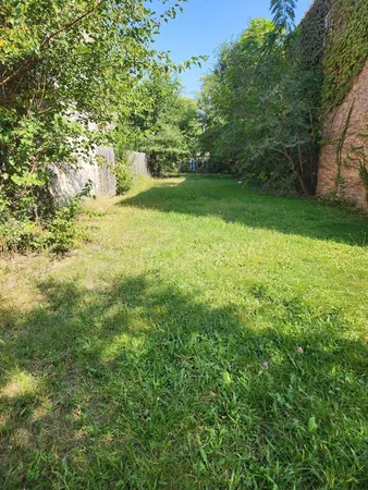 a view of yard with green space