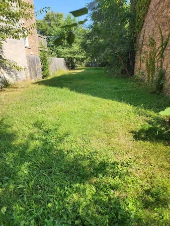 a view of a trees with a yard
