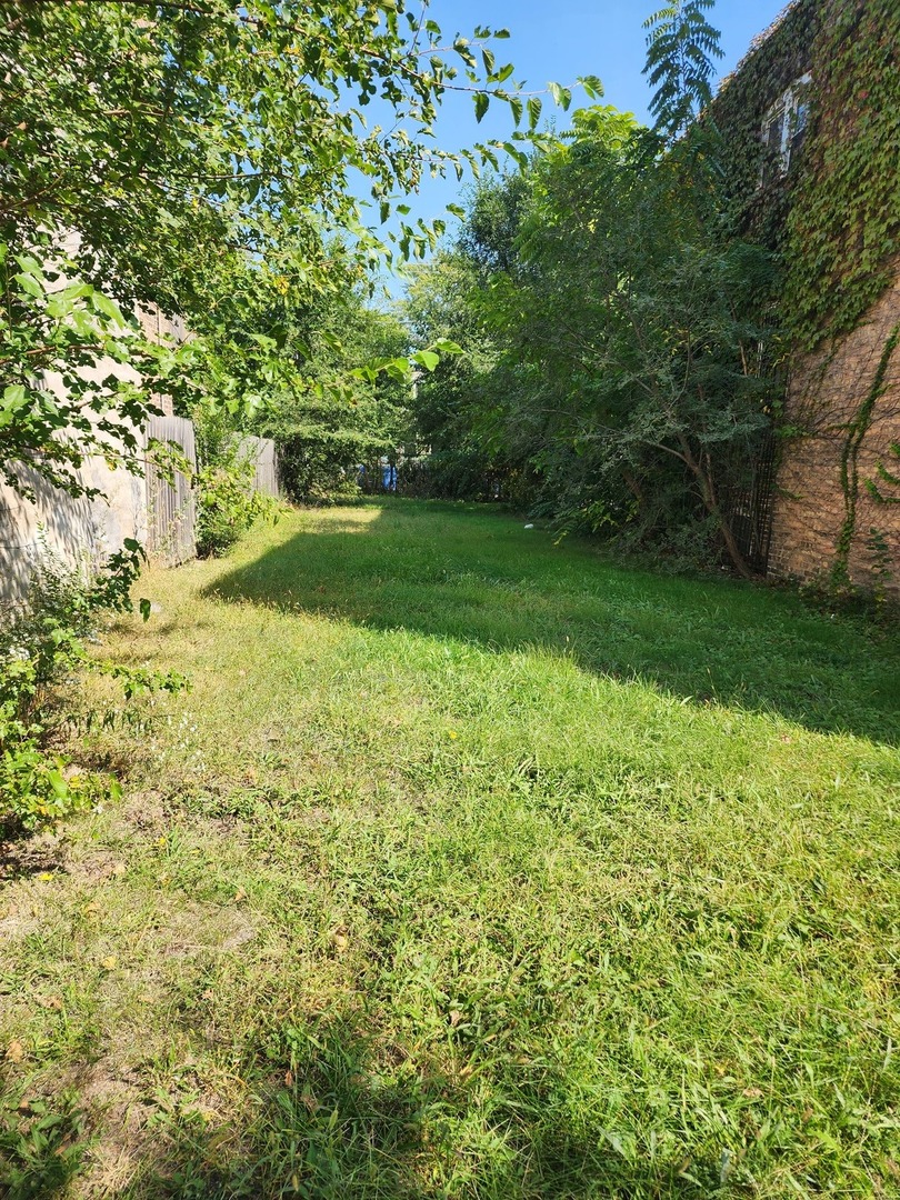 6509 South Rhodes Avenue Chicago, IL 60637 - Photo 5 of 5 a view of yard with green space