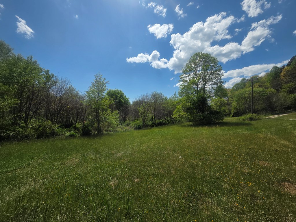 234 George Millsaps Road Robbinsville, NC 28771 - Photo 22 of 30