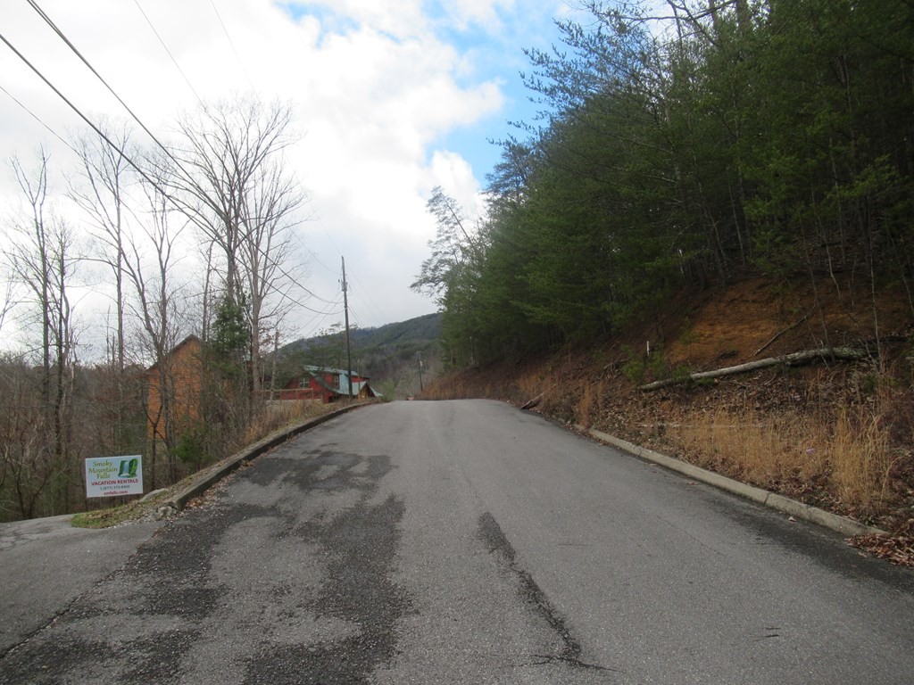 156 Bear Valley Road Sevierville, TN 37876 - Photo 7 of 15