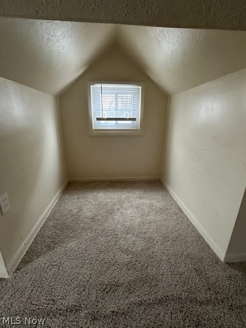 21400 Watson Road Maple Heights, OH 44137 - Photo 14 of 24 Additional living space featuring vaulted ceiling, a textured ceiling, and carpet flooring