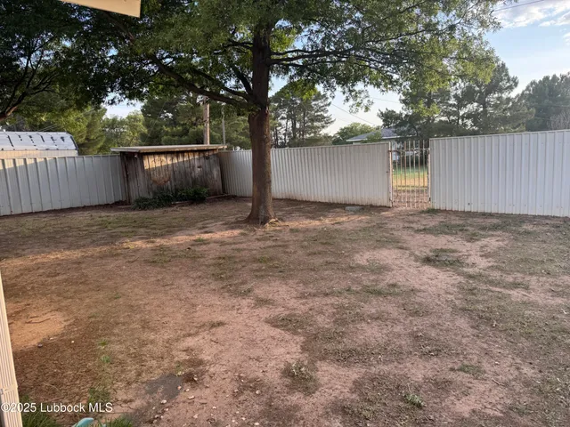 a view of backyard and tree