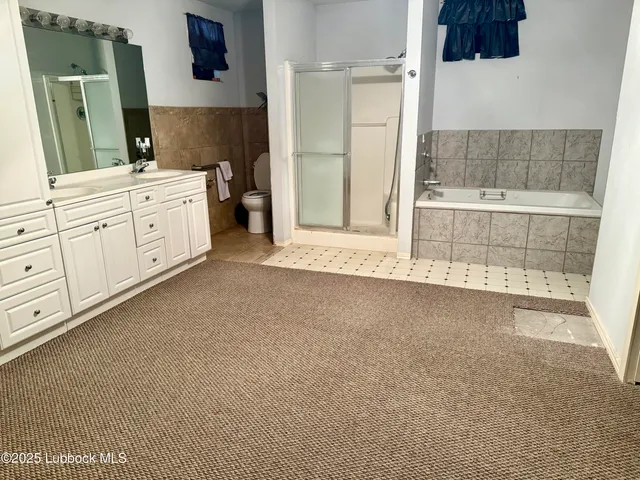 a bathroom with a double vanity sink a toilet and shower