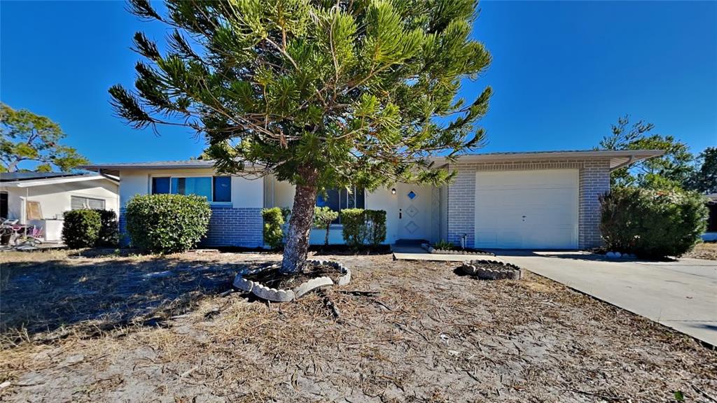10522 Cymbid Drive Port Richey, FL 34668 - Photo 1 of 1 Gallery Image 1
