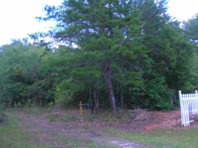 17 Issaqueena Trail Clemson, SC 29630 - Photo 3 of 3 Gallery Image 3