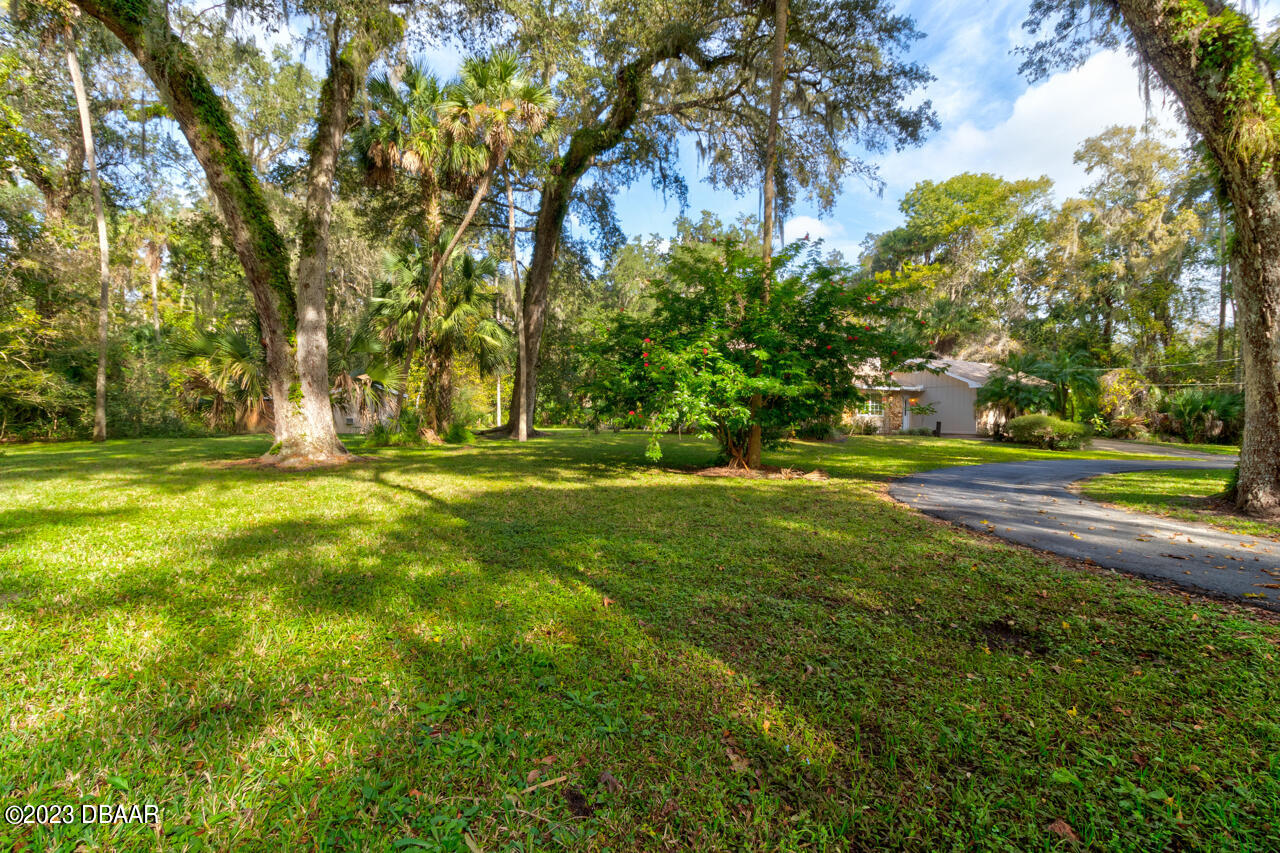 3119 Oak Lane Edgewater, FL 32132 - Photo 2 of 45 3-3119-Oak-Lane-2