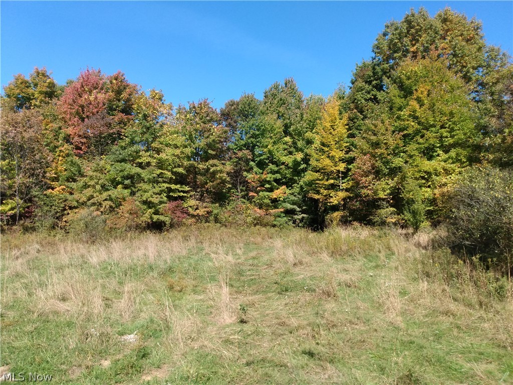 Cunningham Road Salem, OH 44460 - Photo 17 of 20