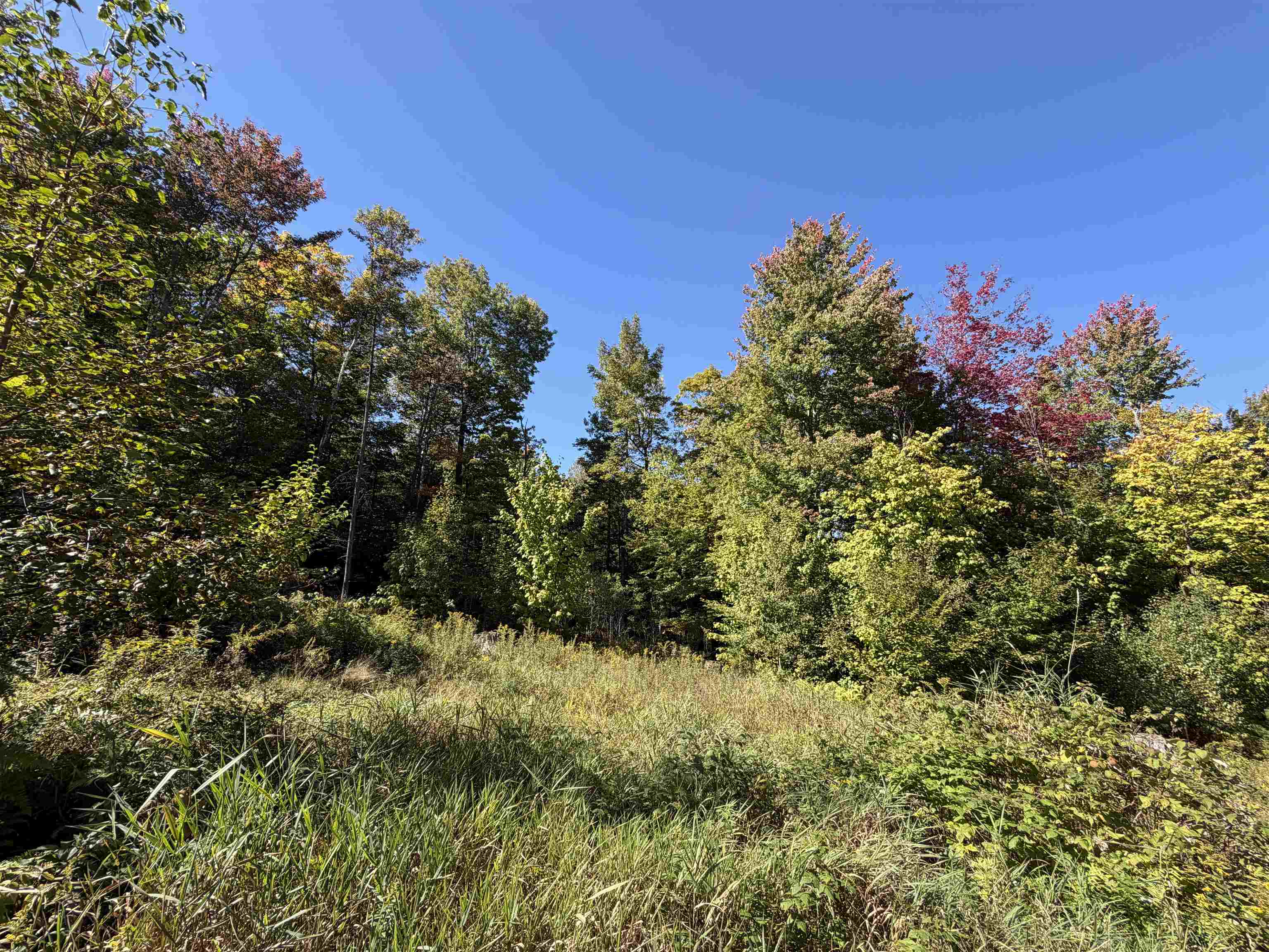 0 Leland Farm Road, Unit LOT D Middlesex, VT 05602 - Photo 14 of 22 Gallery Image 14