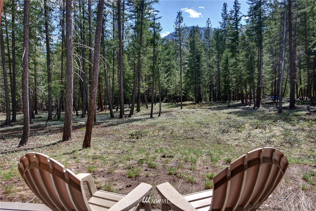 605 Lost River Road Mazama, WA 98833 - Photo 4 of 25 Gallery Image 4