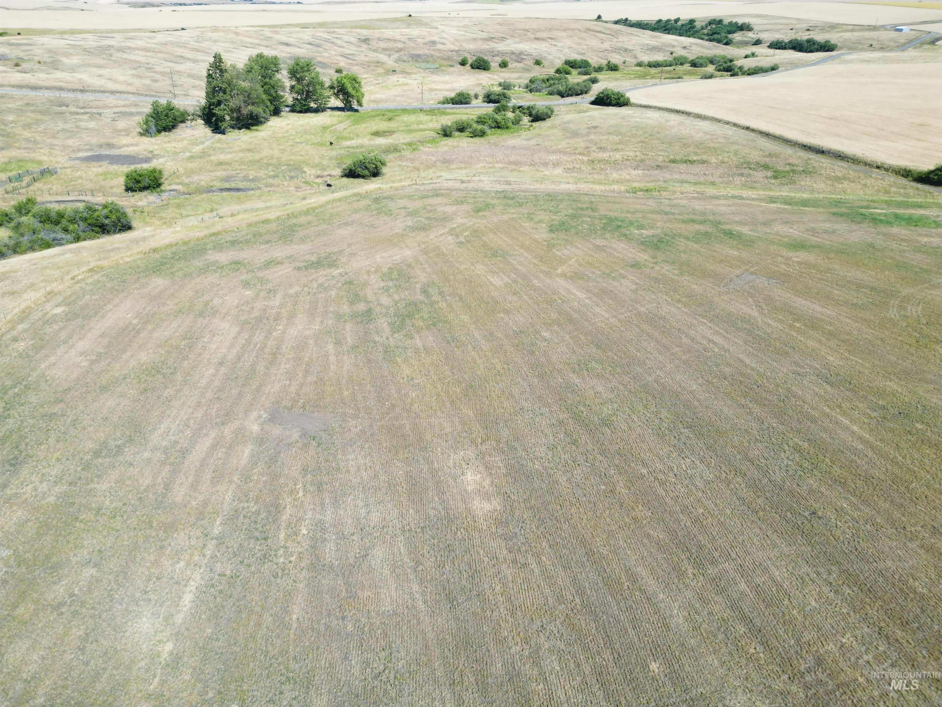 Tbd Wasem Road Grangeville, ID 83530 - Photo 11 of 12 View of rural area