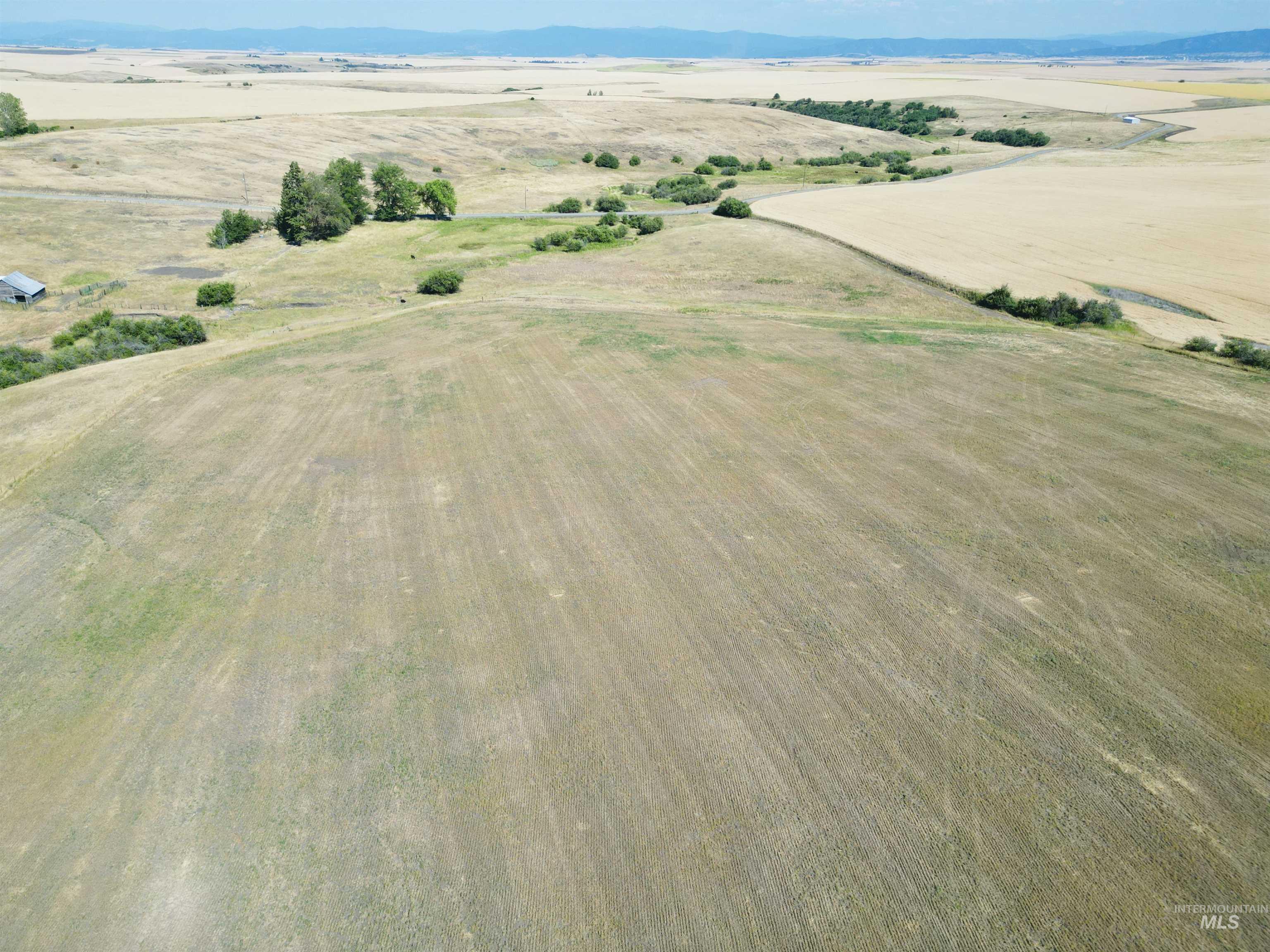 Tbd Wasem Road Grangeville, ID 83530 - Photo 11 of 12 Overview of rural landscape with mountains