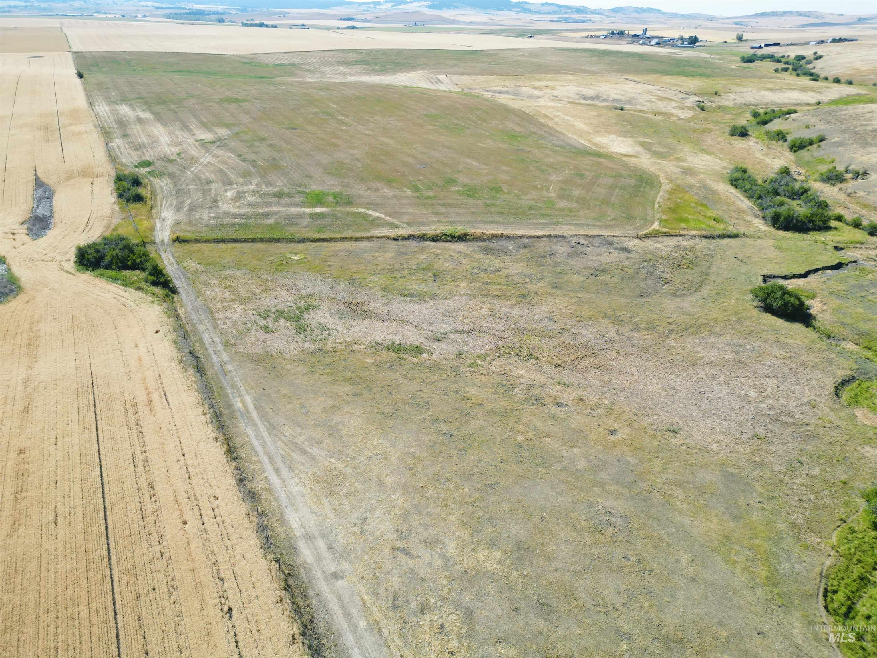 Tbd Wasem Road Grangeville, ID 83530 - Photo 6 of 12 View of property location featuring rural landscape