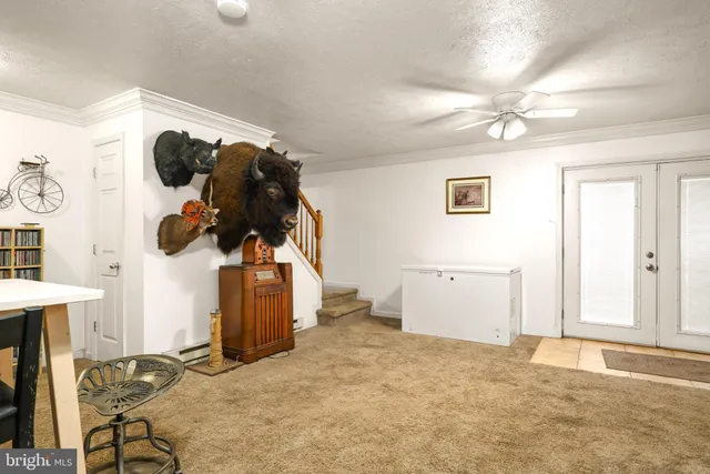 a view of a room with wall paintings and a window