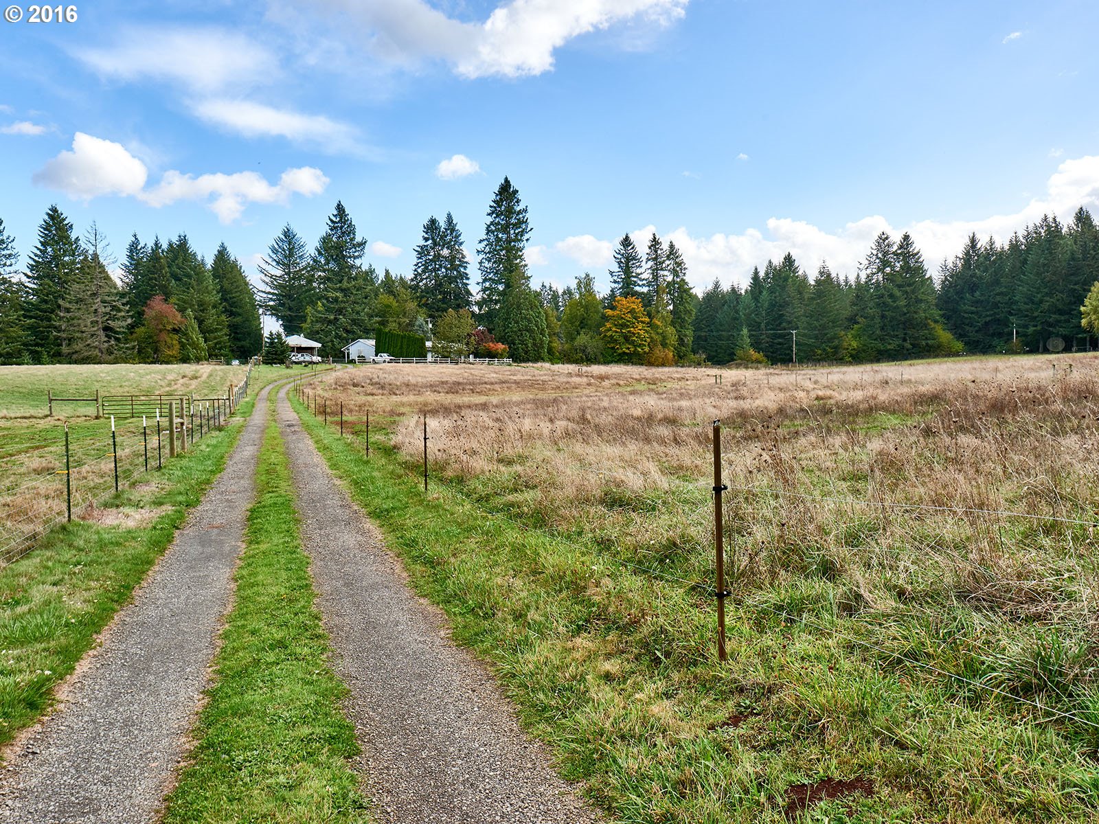 26737 South Look Road Colton, OR 97017 - Photo 12 of 25 a view of street with a yard
