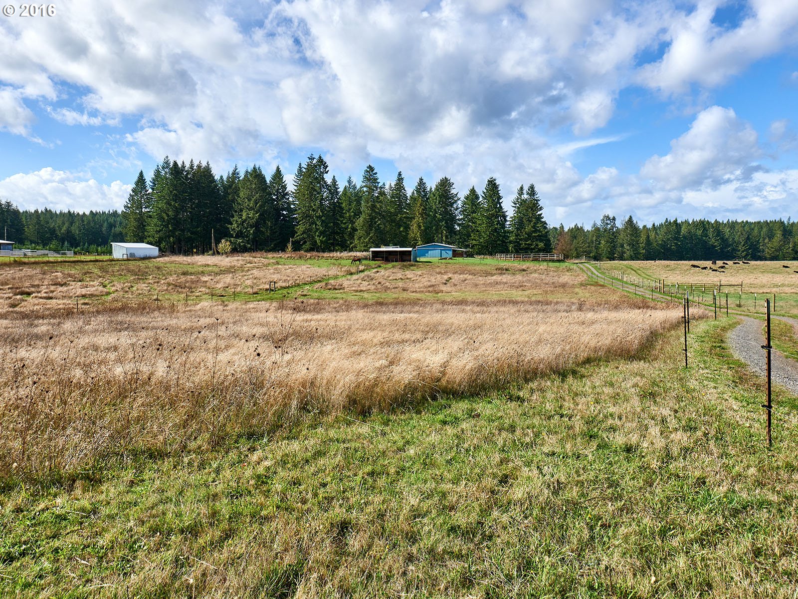 26737 South Look Road Colton, OR 97017 - Photo 5 of 25 a view of outdoor space and swimming pool